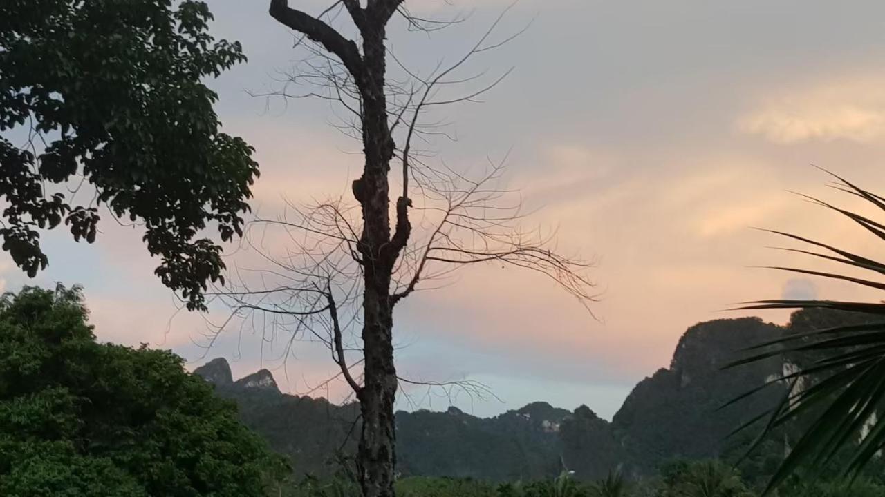 Hotel Phu Siab Mhok@Khaosok Khao Sok National Park Exterior foto